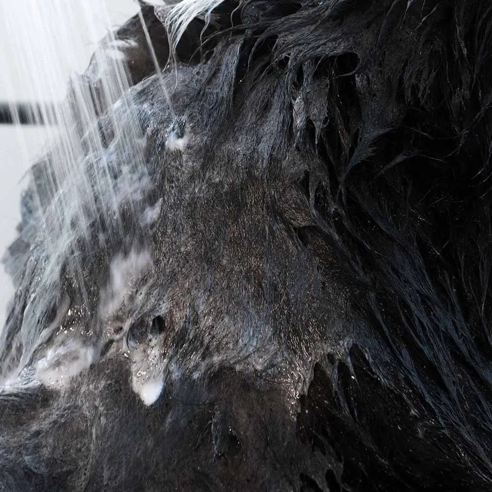 2-in-1 Nourishing Shampoo & Conditioner for Pets : FURRY FRIENDS™ : Lavender