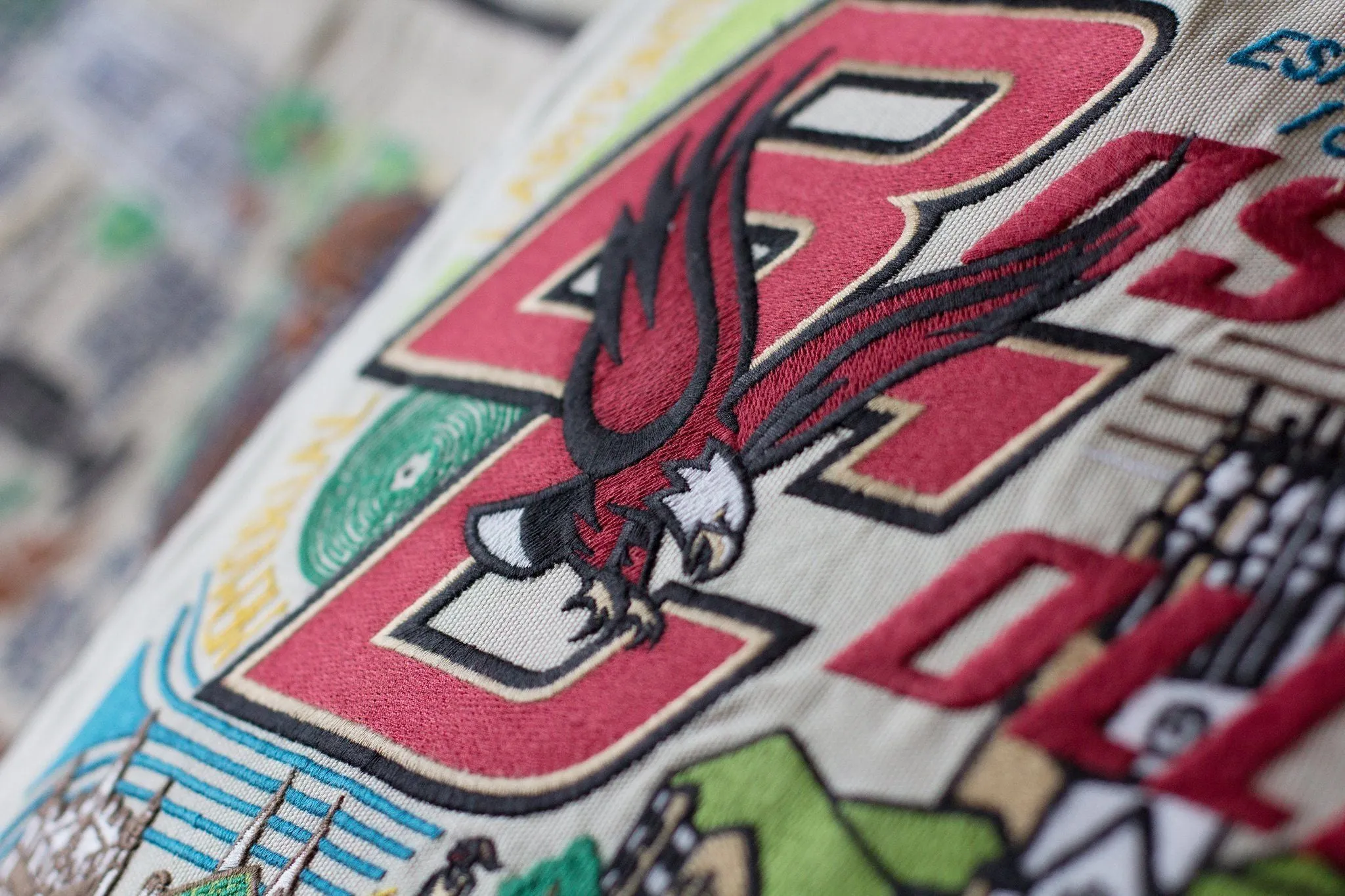 BOSTON COLLEGE PILLOW BY CATSTUDIO