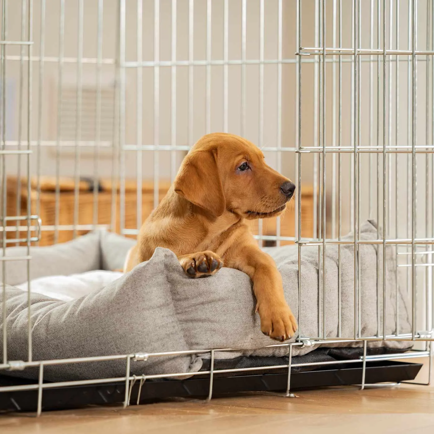 Cosy & Calming Puppy Crate Bed In Inchmurrin Ground by Lords & Labradors