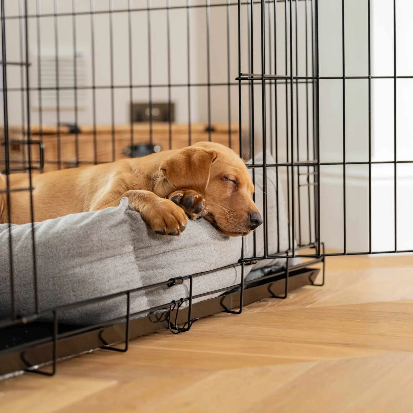Cosy & Calming Puppy Crate Bed In Inchmurrin Ground by Lords & Labradors