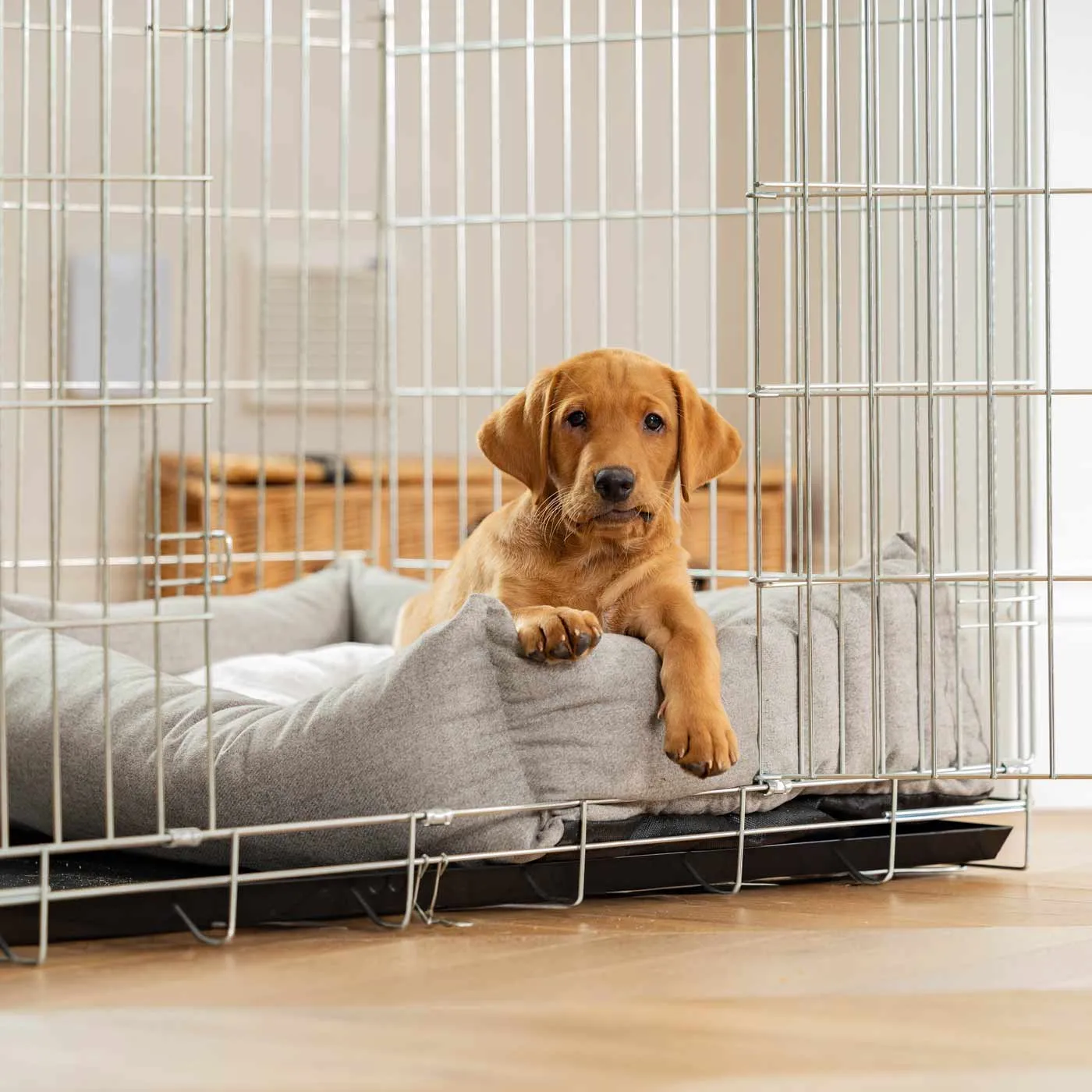 Cosy & Calming Puppy Crate Bed In Inchmurrin Ground by Lords & Labradors