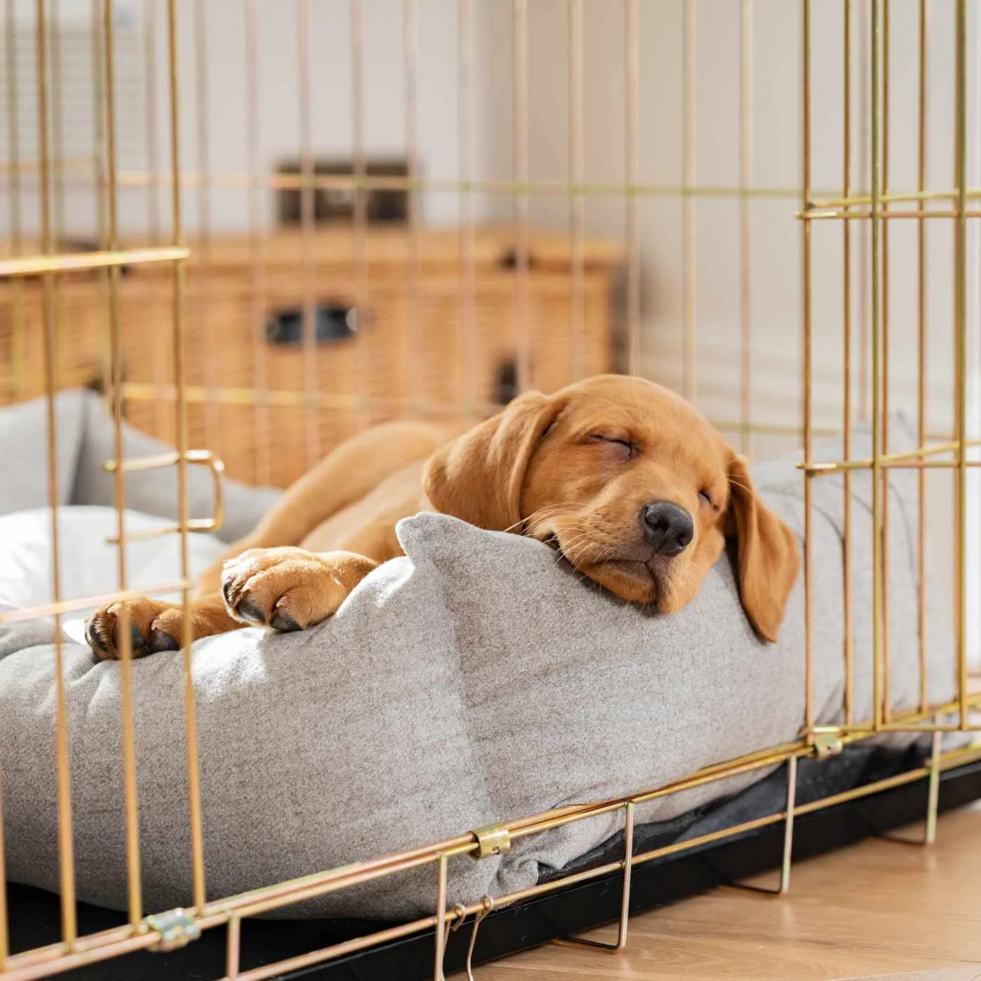 Cosy & Calming Puppy Crate Bed In Inchmurrin Ground by Lords & Labradors