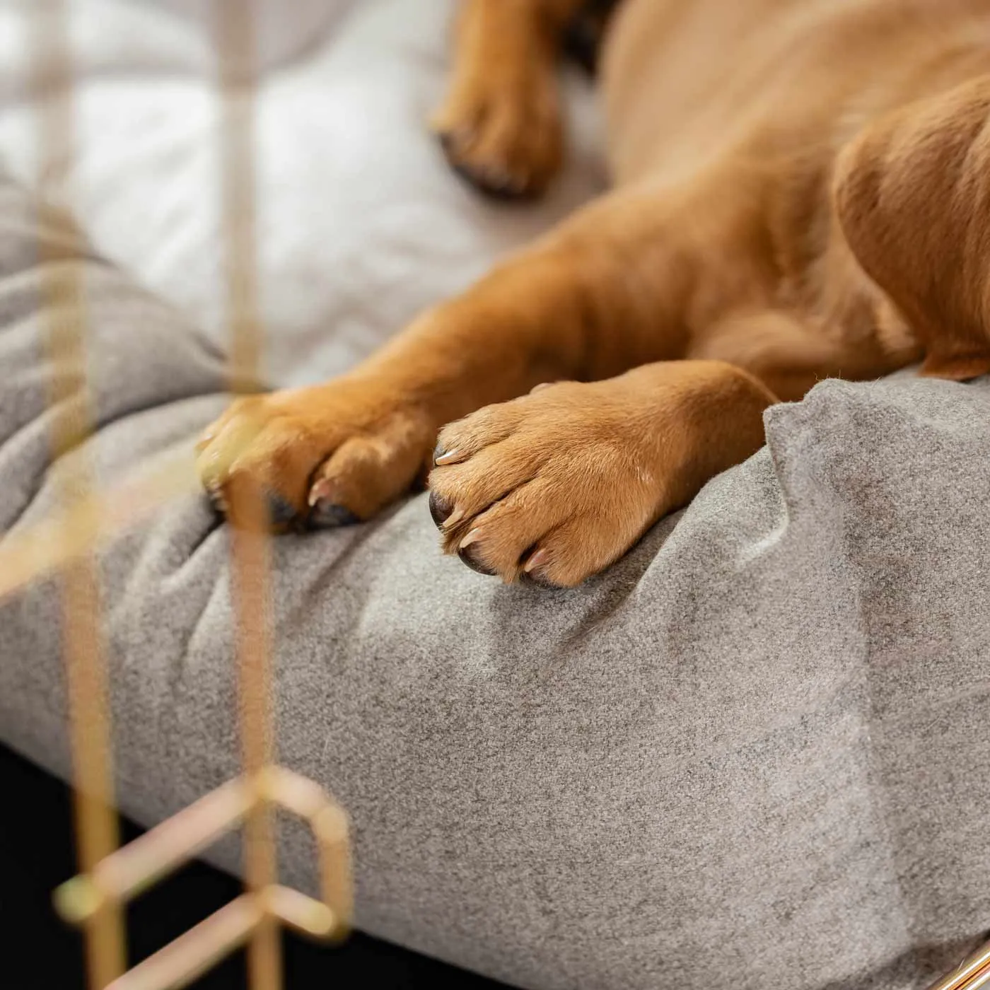 Cosy & Calming Puppy Crate Bed In Inchmurrin Ground by Lords & Labradors