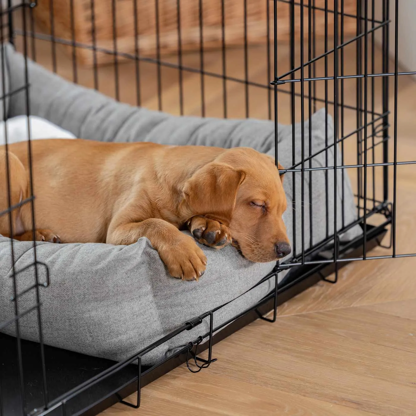 Cosy & Calming Puppy Crate Bed In Inchmurrin Ground by Lords & Labradors