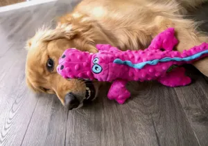 GoDog Gators Plush Dog Toys