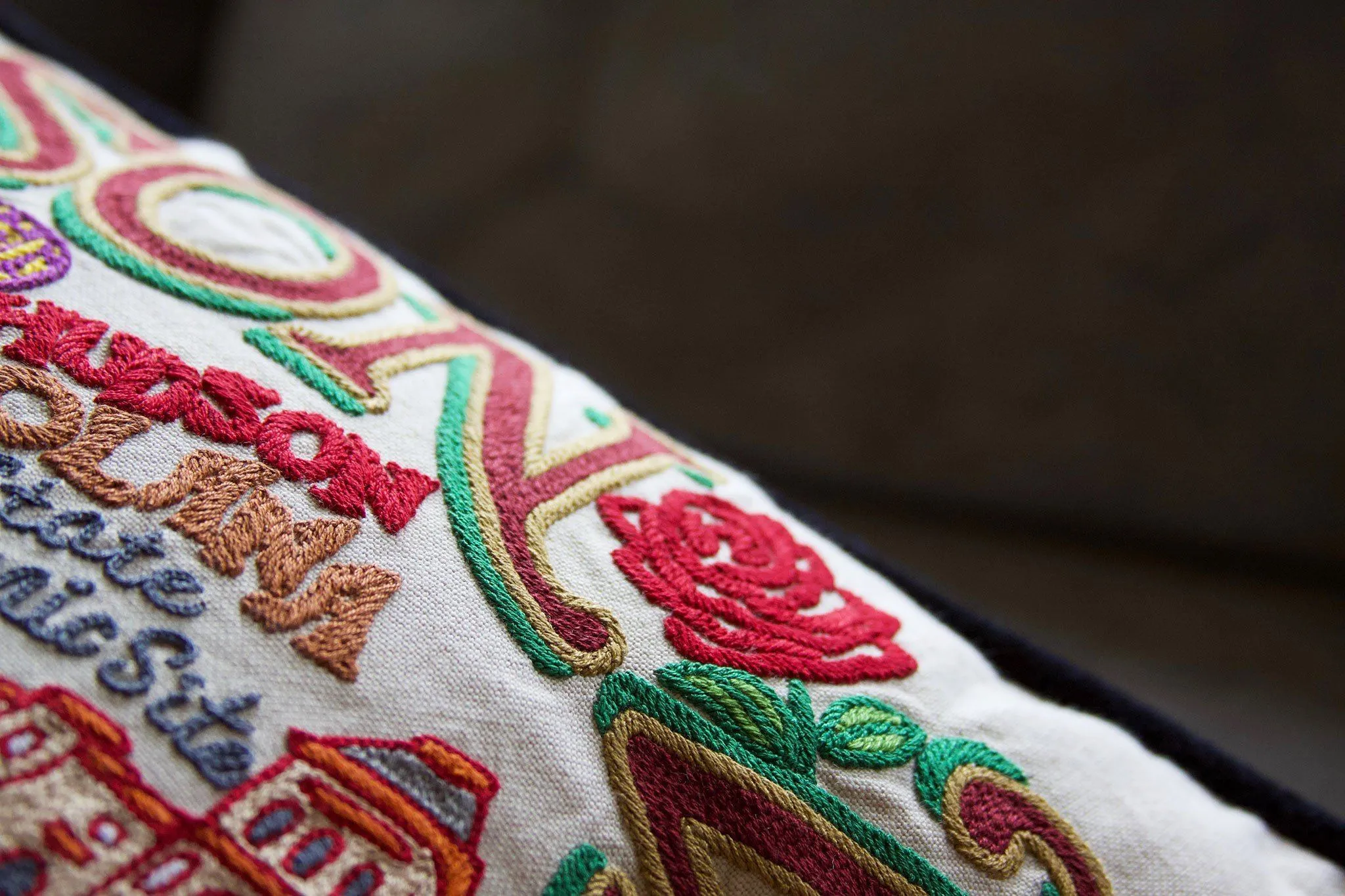HUDSON VALLEY PILLOW BY CATSTUDIO