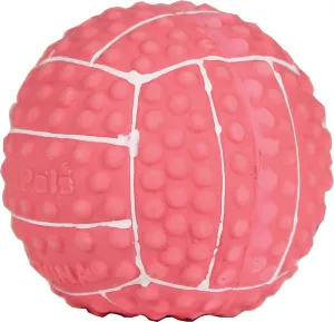 Li'l Pals Latex Volleyball Dog Toy