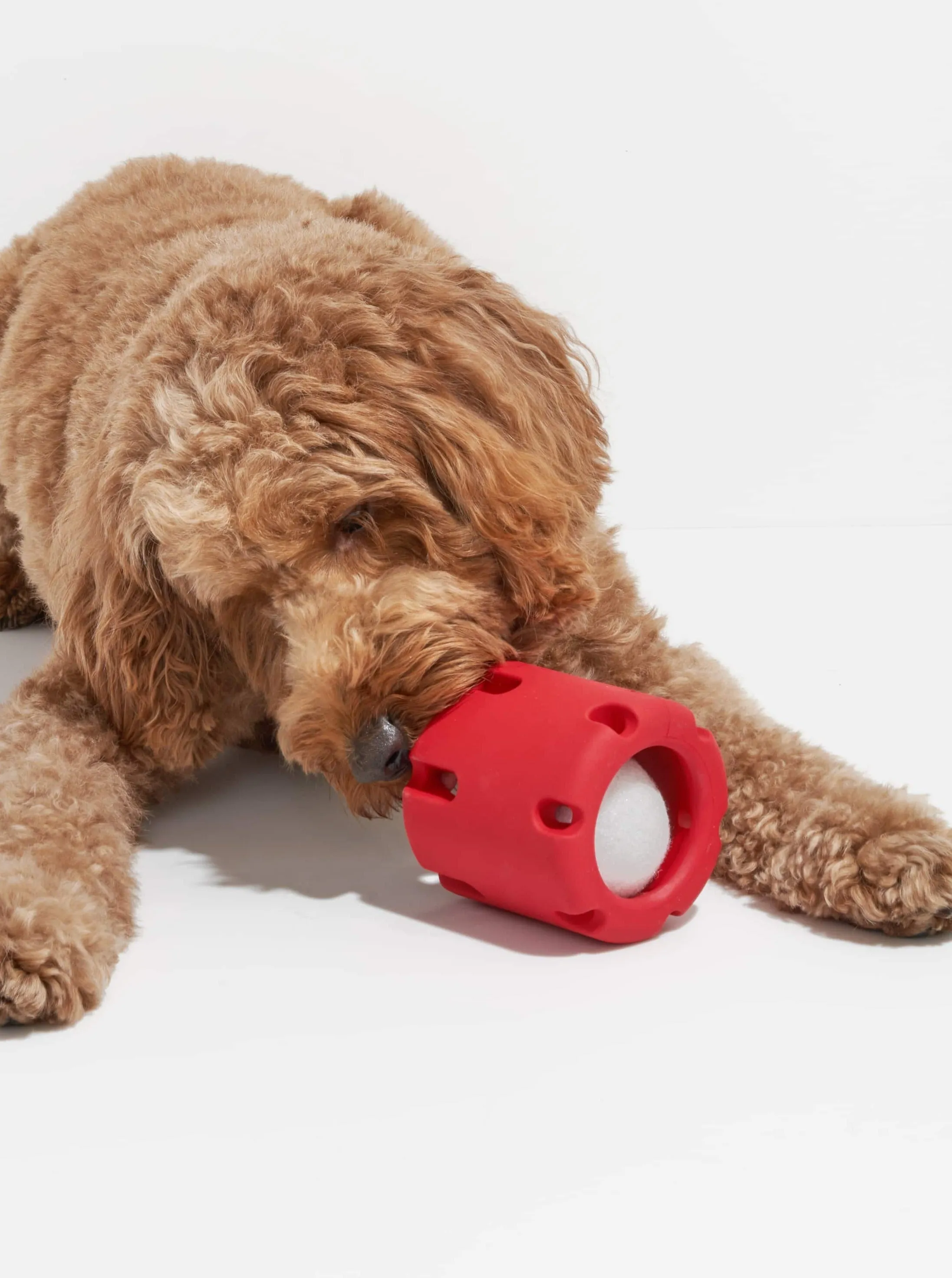 Tennis Tumble (Includes 1 Tennis Ball) - Strawberry