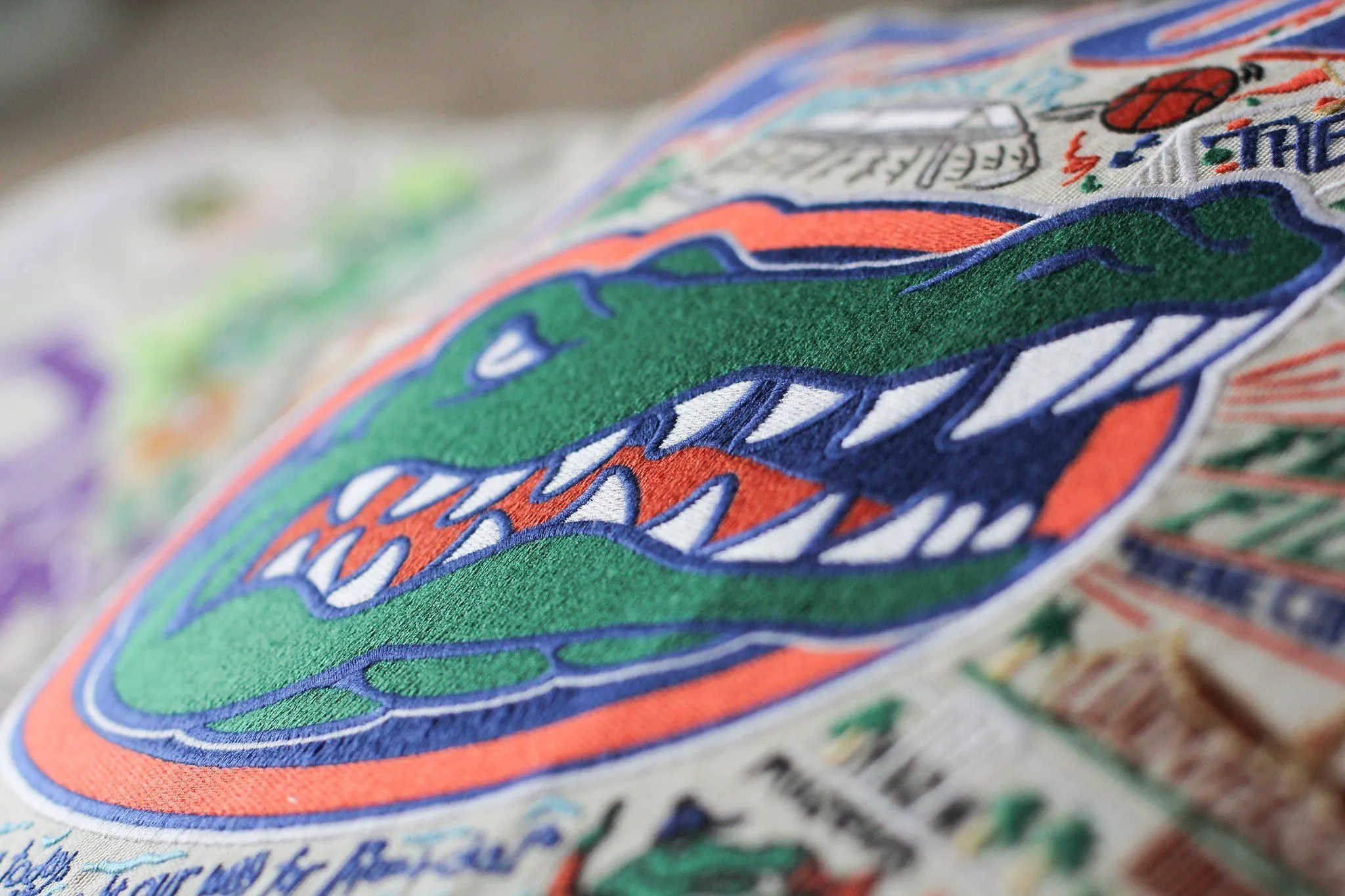 UNIVERSITY OF FLORIDA PILLOW BY CATSTUDIO